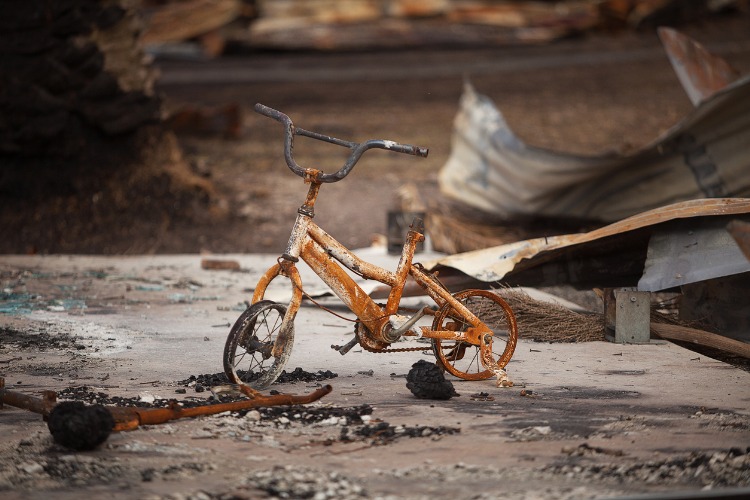 fire damaged bicycle picture
