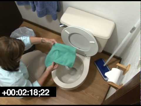 Lady cleaning a toilet