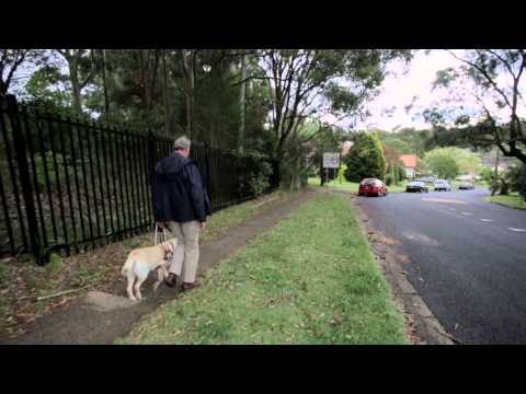 Man walking his dog on the footpath 